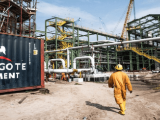 Dangote Graduate Trainee Programme for Young Graduates 2024