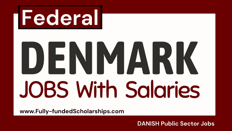 Denmark Government Jobs 2024 For International Job Seekers NineFat   Denmark Government Jobs For International Applicants 