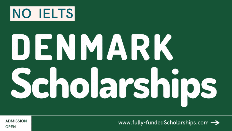 Denmark Scholarships Without IELTS In 2024 Study In Denmark Without   Denmark Scholarships Without IELTS 