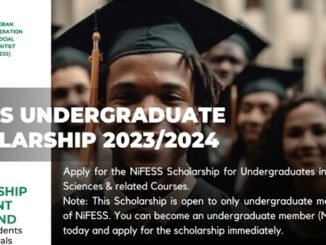 NIFESS Undergraduate Scholarship 2023/2024 for Nigerian University Students