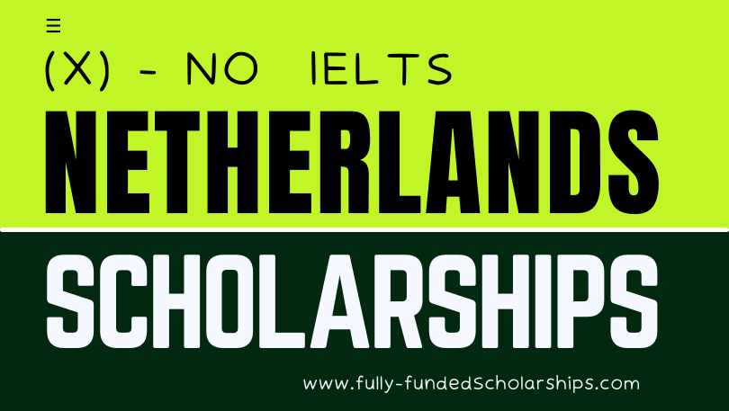 Netherlands Universities Scholarships Without IELTS 2024 NineFat   Netherlands Universities Scholarships Without IELTS  