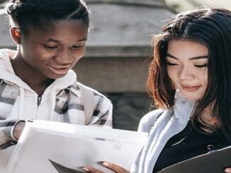 Sanlam CA Bursaries and Funding for Undergraduates 2024