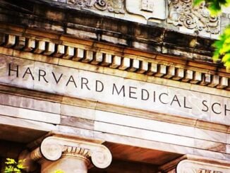 10 Best Universities in the World to Study Medicine in 2024