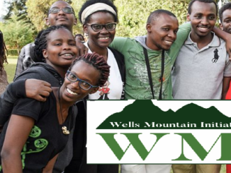 Wells Mountain Initiative (WMI) Scholars Program 2024 for Developing Countries