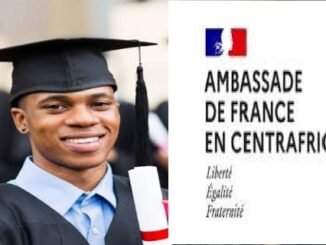 Embassy of France in the Central African Republic Doctoral scholarships 2024 [Fully-funded]