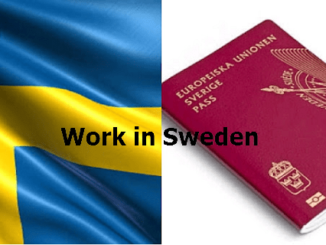 Sweden Skilled Worker Visa 2024
