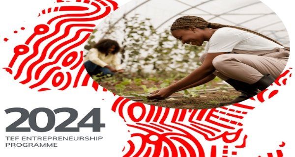 Tony Elumelu Empowerment Program for African Entrepreneurs 2024