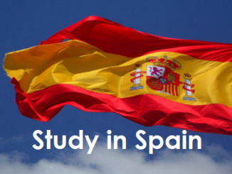 Top scholarships in Spain without IELTS 2024/2025