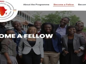 AFRIKA KOMMT Fellowship Program for Young Professionals [Fully-funded]