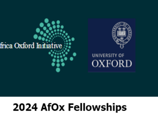 AfOx Visiting Fellowship Programme 2024 for Africans (Fully Funded)