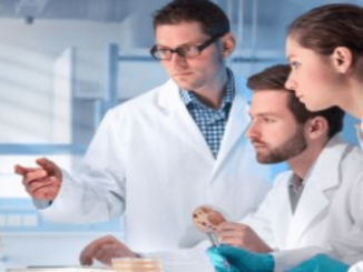 Monash University Graduates Research Internships 2024