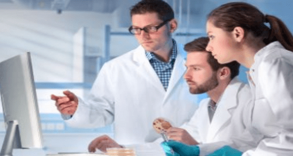 Monash University Graduates Research Internships 2024