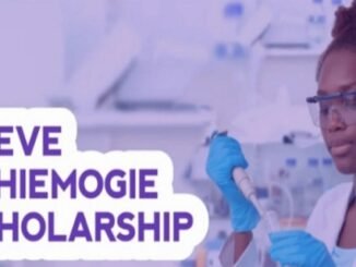Steve Eshiemogie Scholarship for Nigerian Students 2024