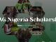 NWAG Scholarship Awards for Nigerian Students 2024