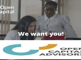 Open Capital Career Program as a Senior Project Leader for African Graduates