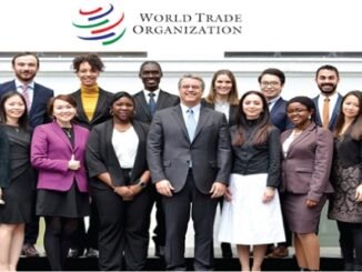 World Trade Organization Young Professionals Programme 2024